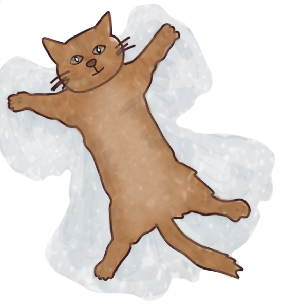 Gato