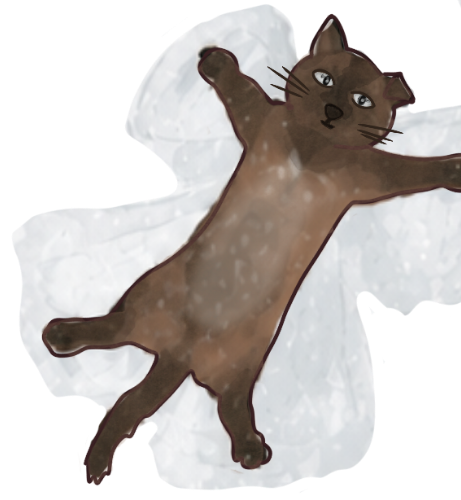 Gato